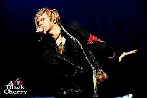 Acid Black Cherry