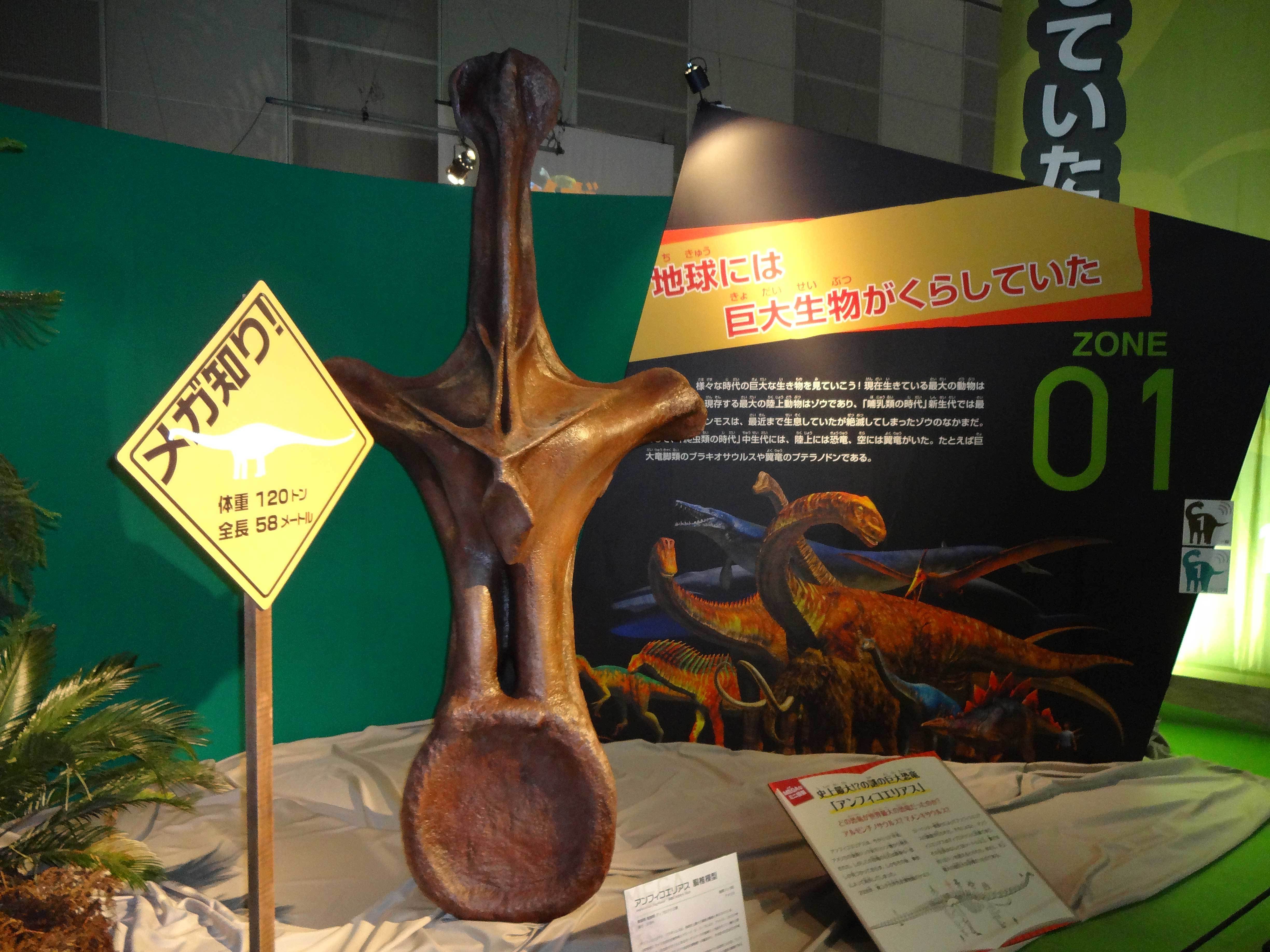 「メガ恐竜展2015-巨大化の謎にせまる」展示風景