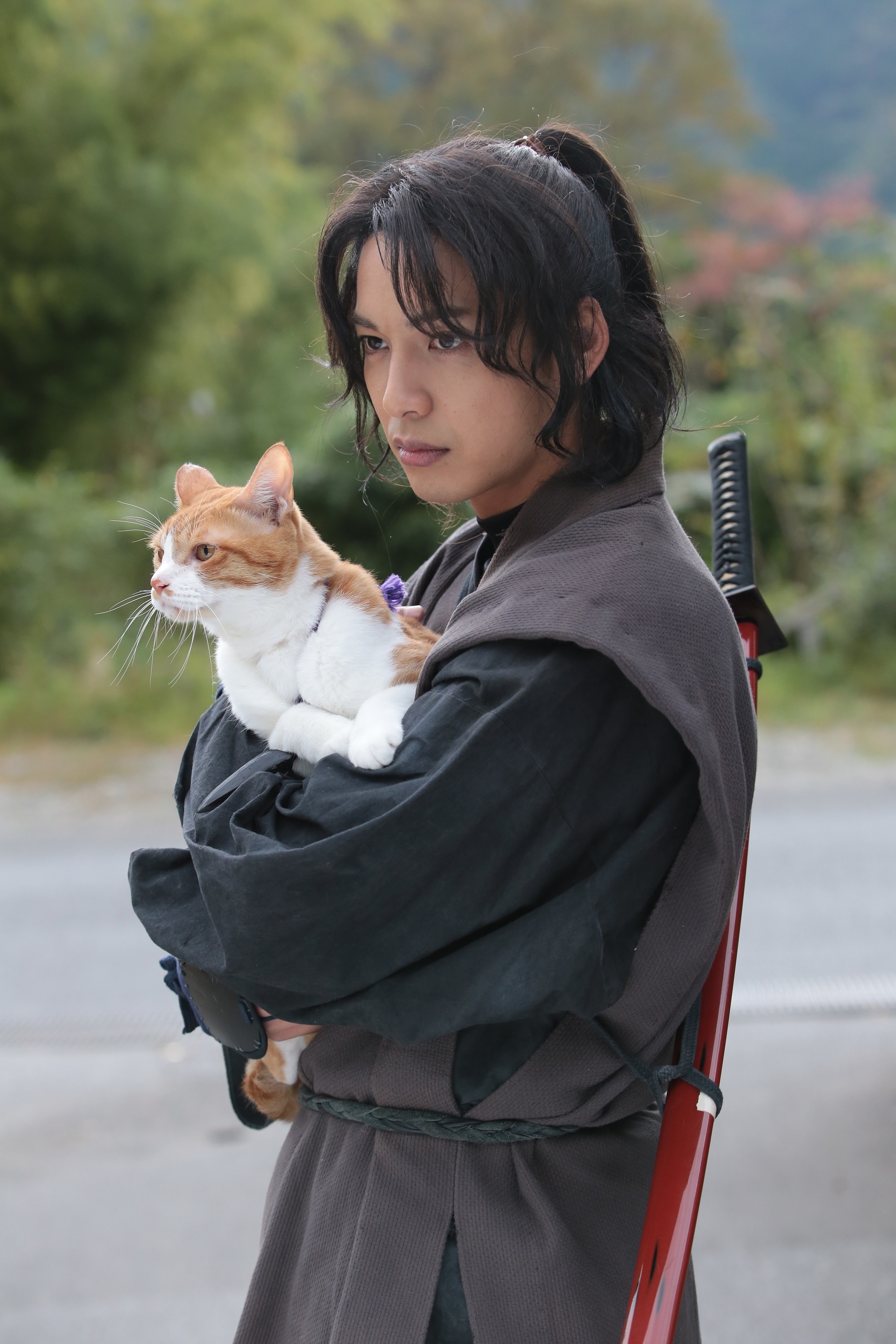 猫 忍者 異色の 癒しアクション時代劇 で大野拓朗が映画初主演 猫忍 ねこにん ドラマ 映画で公開へ Spice エンタメ特化型情報メディア スパイス