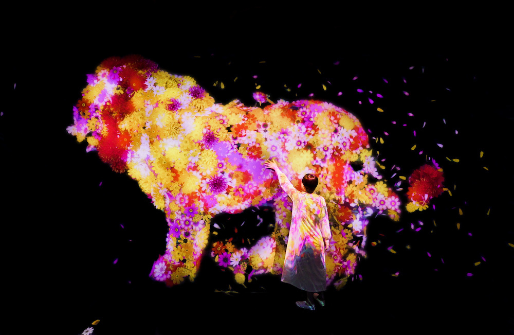 チームラボ《花と共に生きる動物たち II - A Whole Year per Year 》(C)チームラボ