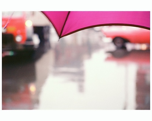 ソール・ライター 《薄紅色の傘》1950年代、発色現像方式印画 (C)Saul Leiter Foundation