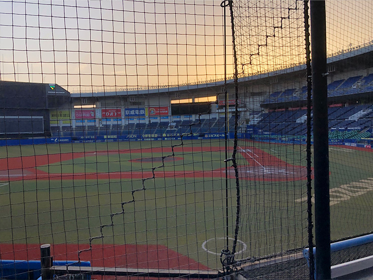 内野指定席VSペア、内野指定席SSペアからの眺望例