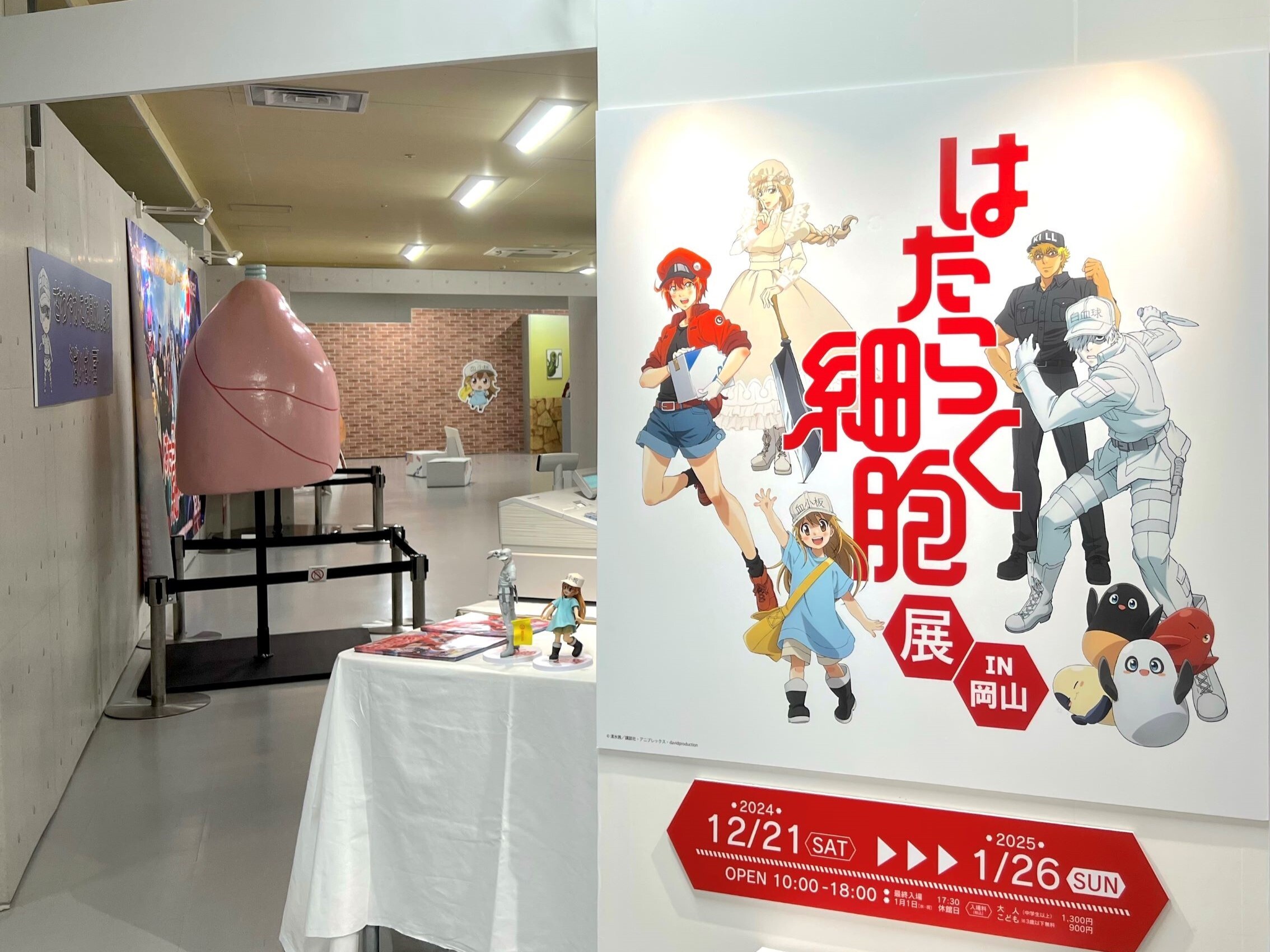 『はたらく細胞展 IN 岡山』　撮影＝田辺ユウキ