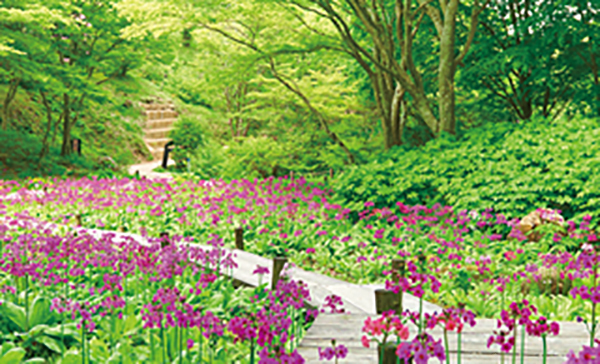 六甲高山植物園