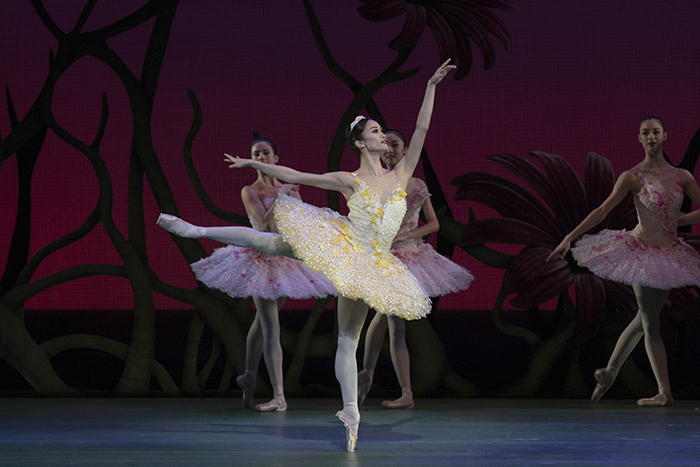 Fumi Kaneko as Queen of the Dryads in Don Quixote, The Royal Ballet  　© 2019 ROH. Photograph by Andrej Uspenski