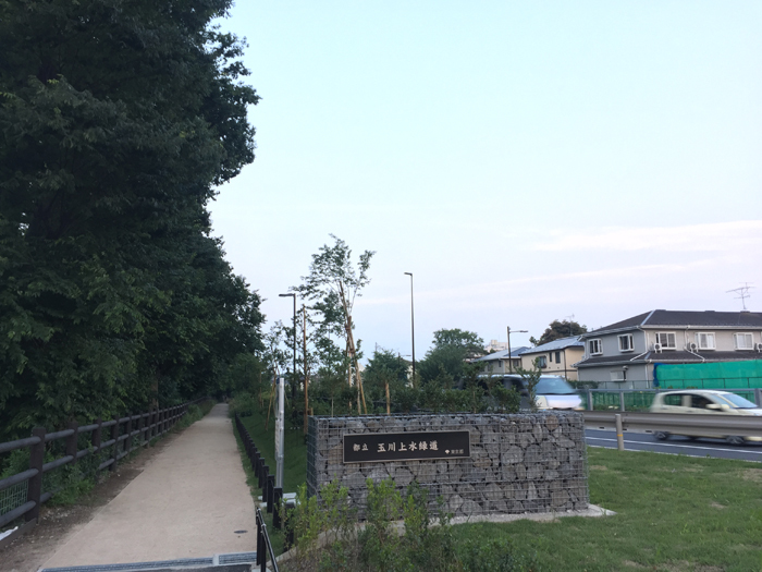 桜桃忌その日の玉川上水と東八道路