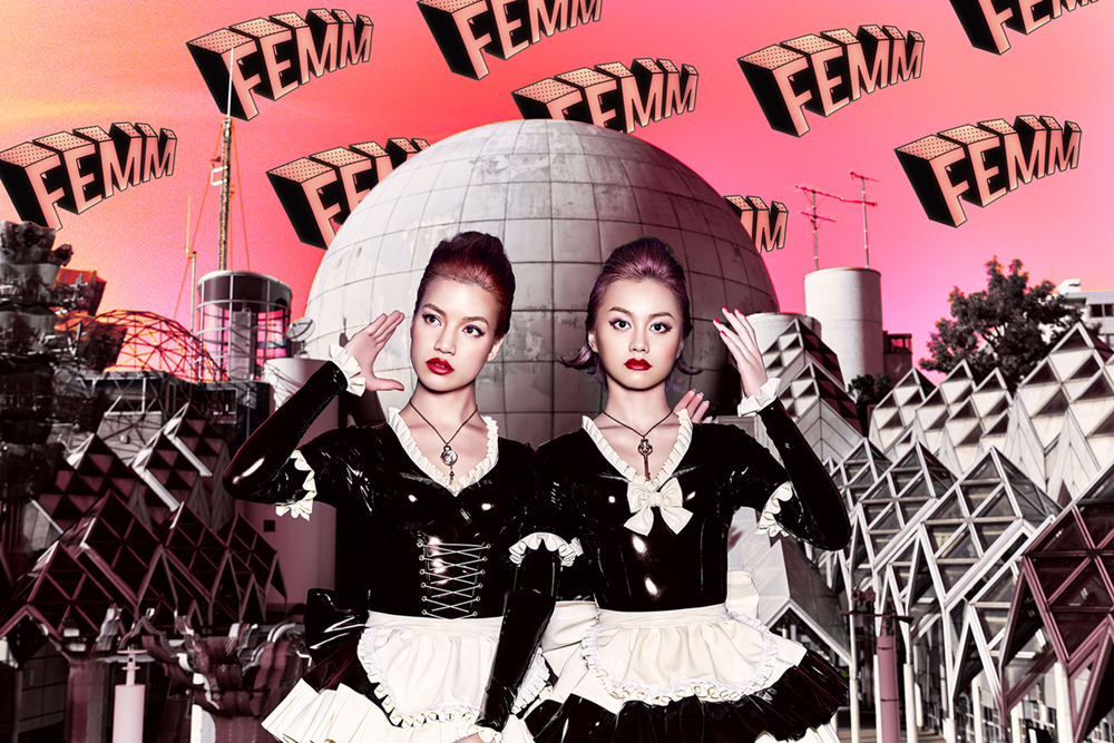 FEMM