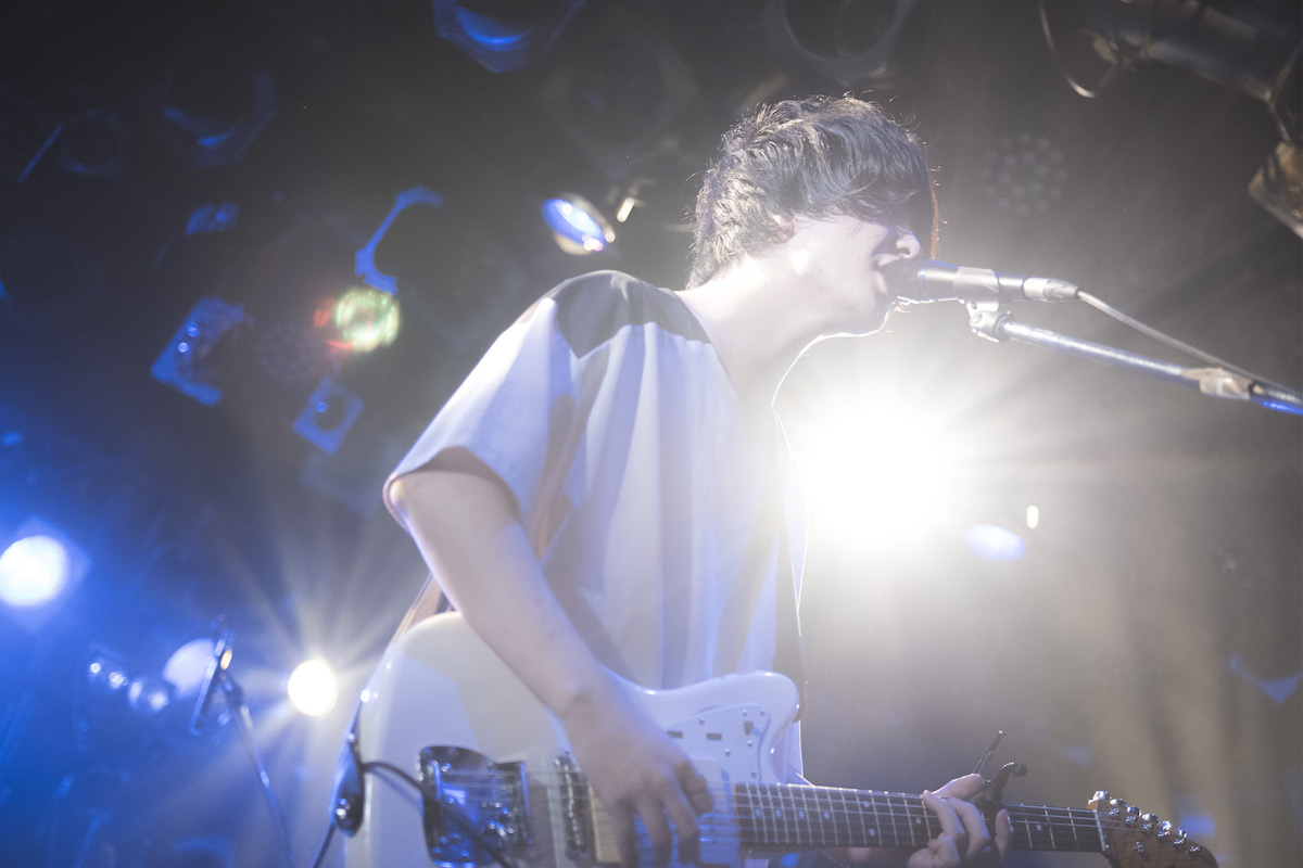 polly photo by Daisuke Miyashita