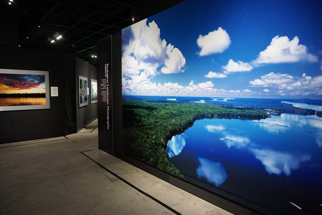 画像 写真と水槽で体感する 大自然の美しさ 天野尚 Nature Aquarium展 レポート の画像5 22 Spice エンタメ特化型情報メディア スパイス