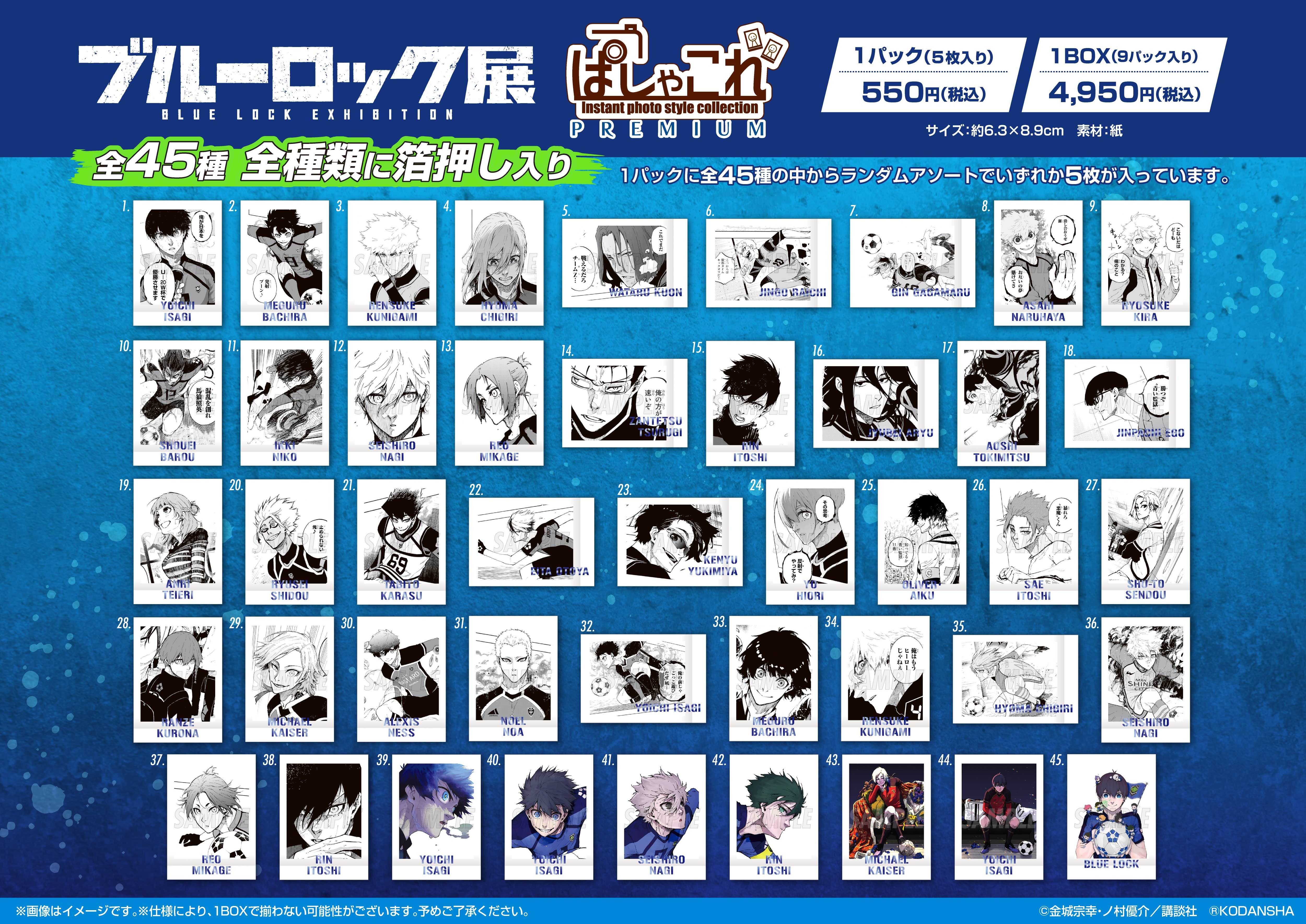 ぱしゃこれPREMIUM（1BOX9パック入り） 価格：1パック 550円（税込）