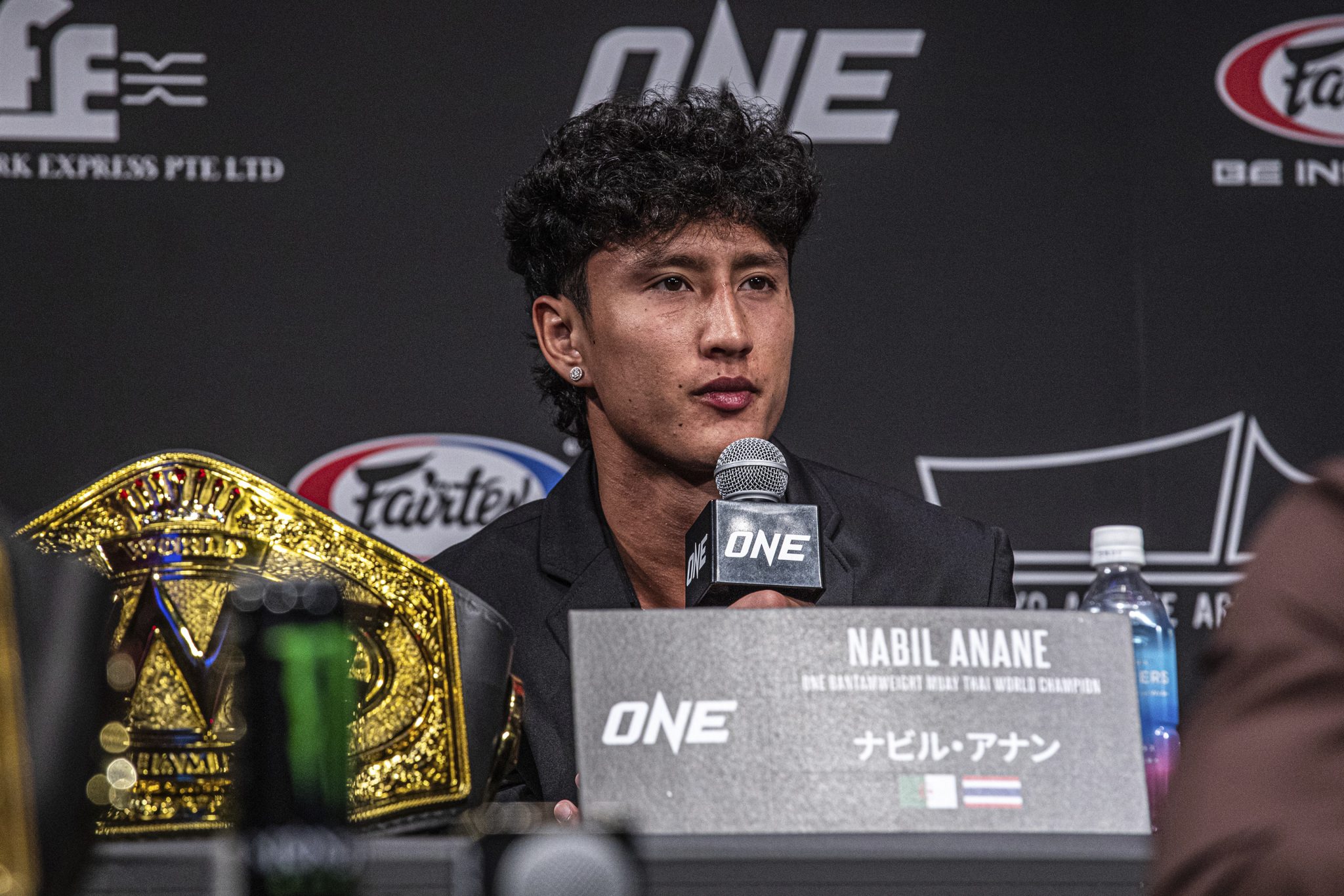 ナビル・アナン