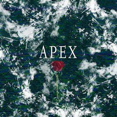 「APEX」