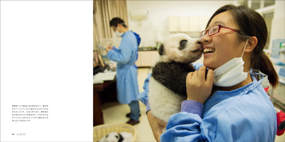 かわいいだけじゃない 野生動物としてのパンダに迫る写真集 Panda Love 知られざるパンダの世界 Spice エンタメ特化型情報メディア スパイス