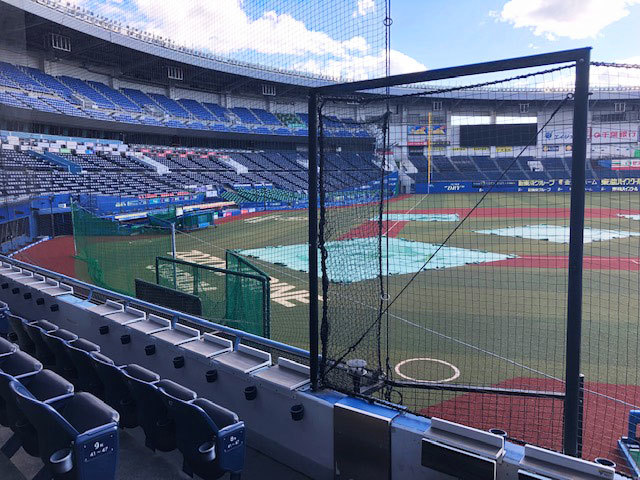 内野指定SS席（1塁）