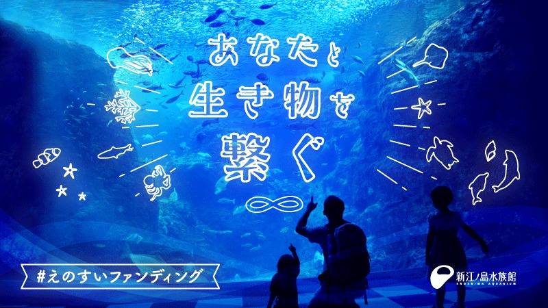 新江ノ島水族館が“あなた”と“生き物”を繋ぐ「えのすいファンディング
