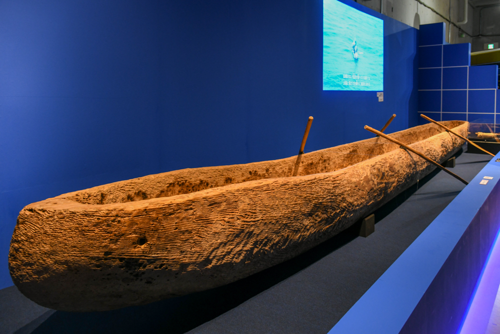 「3万年前の航海徹底再現プロジェクトで使用された丸木舟」（所蔵：東京都立大学）