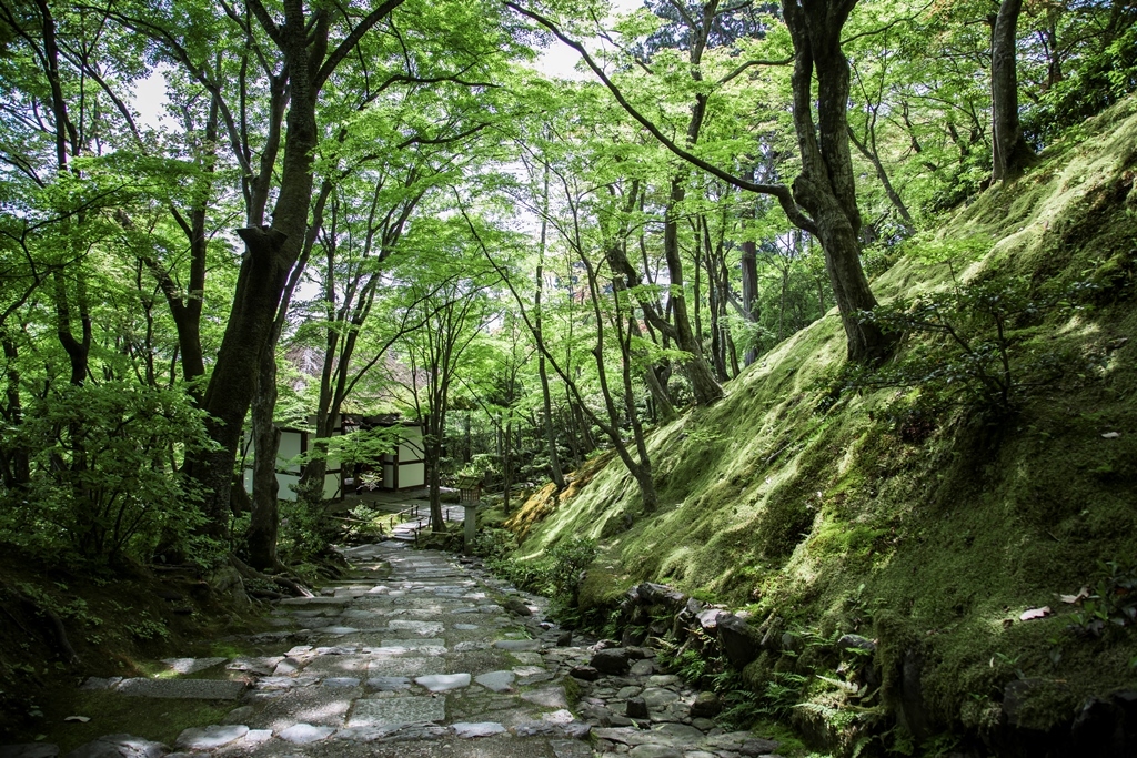 常寂光寺 藤原定家が山荘「時雨亭」を構えた場所