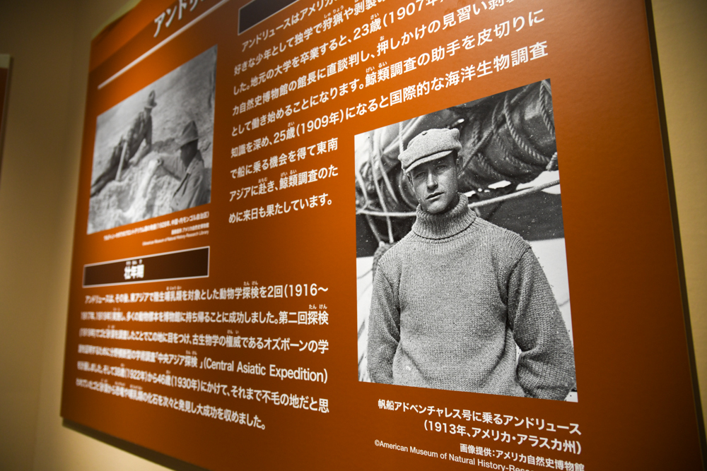 若き日のロイ・チャップマン・アンドリュース