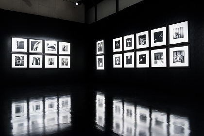 【希少 非売品】ロバート・メープルソープ　Memento Mori ロバート・メイプルソープ展『MEMENTO MORI』、挑発的な美を写す