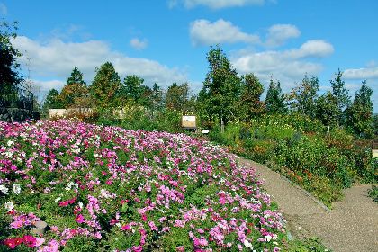 フランス印象派がモチーフの庭園・ガーデンミュージアム比叡で、秋のイベントが多数開催