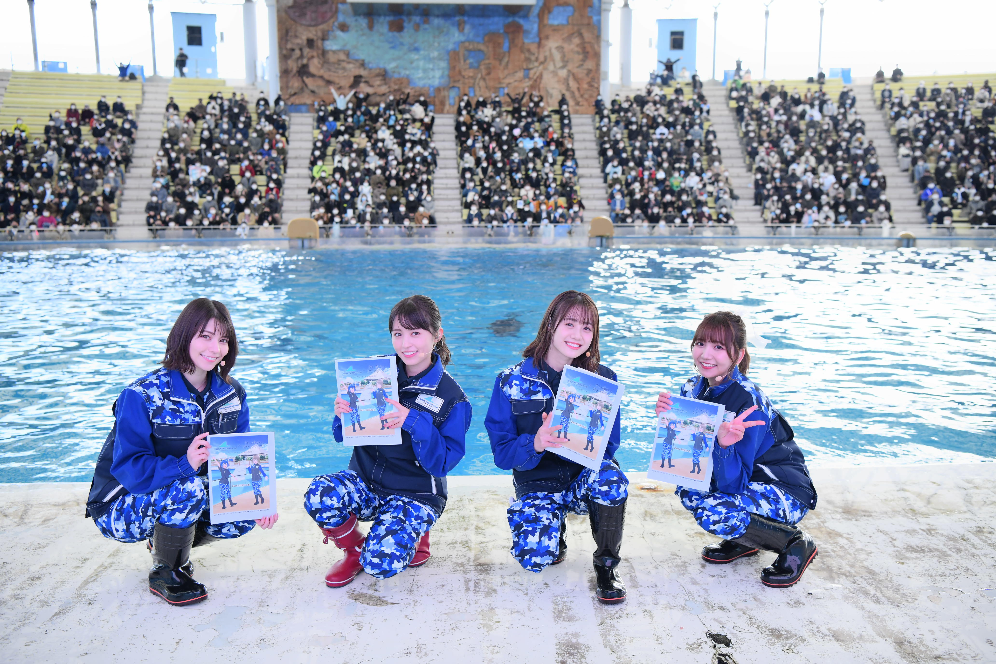 『ペンギンとイルカと海の楽園』