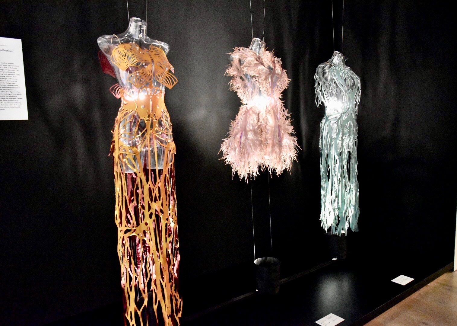 人間の神経や肺などの臓器といった体内の組織をモチーフにしたファッション作品 エイミー・カール　「インターナル・コレクション」シリーズ　2016-2017年