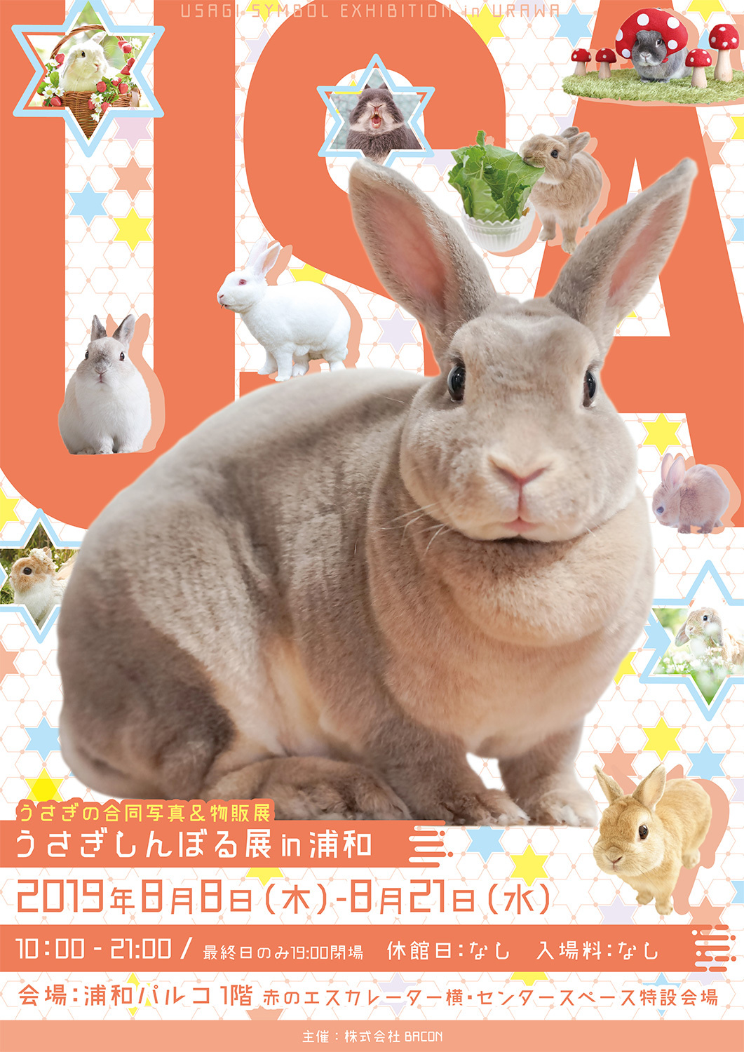 うさぎの合同写真展 物販展 うさぎしんぼる展 が浦和で開催 謎解きイベントやワークショップも Spice エンタメ特化型情報メディア スパイス