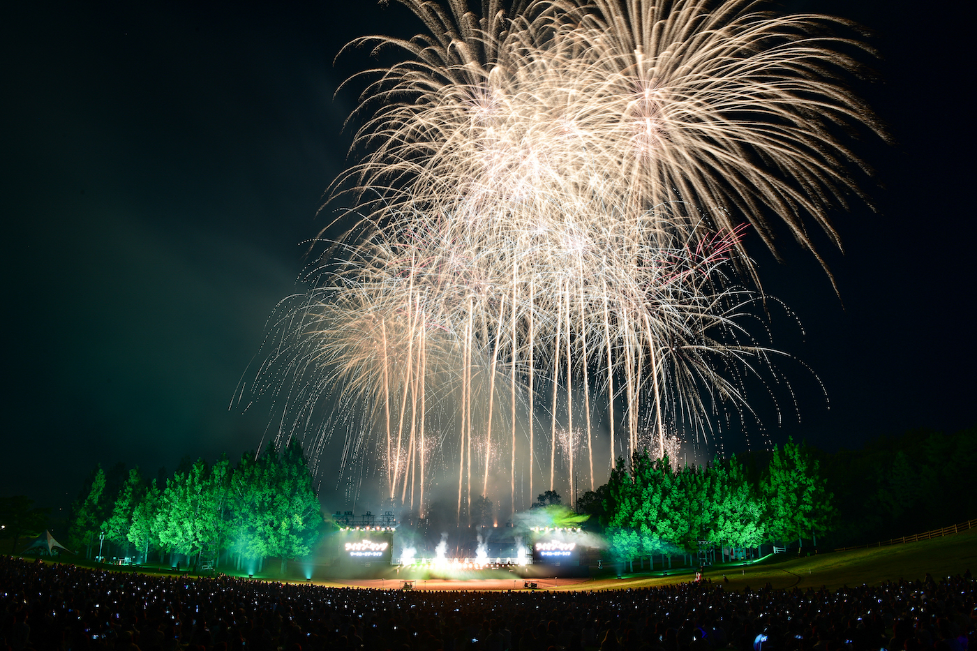 画像】12,000発の花火と極上の音響でディズニーミュージックが夜空を