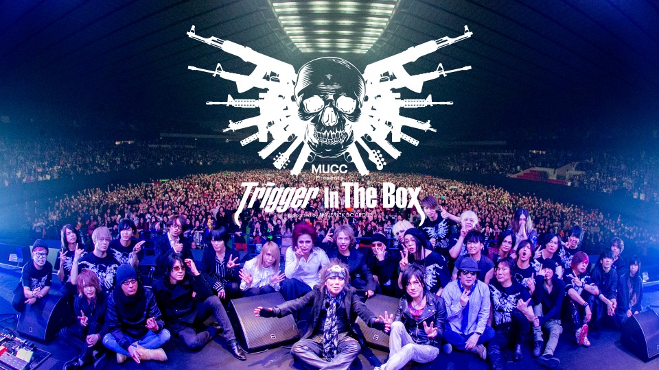 『Trigger In The Box』