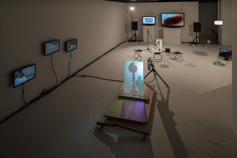 《HUMAN EMOTIONS／ヒューマン・エモーションズ》 2015年 山城大督