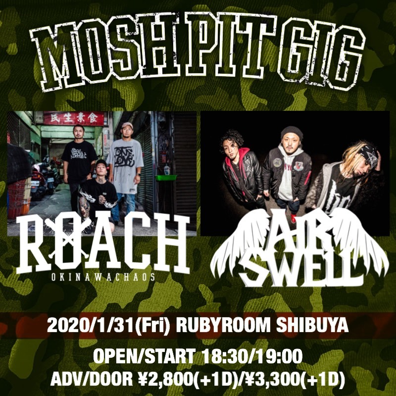 ROACH主催イベントでAIR SWELLとのツーマンライブを開催 | Musicman