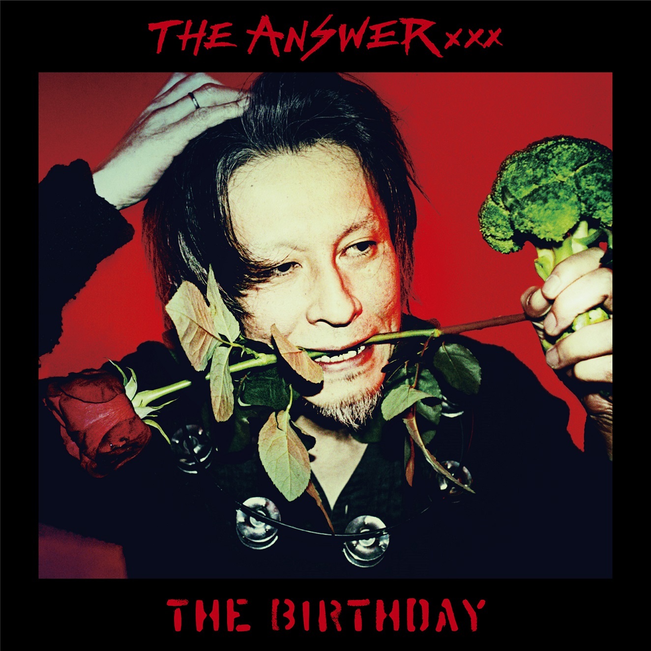 無料配達 稀少盤レコード The Birthday ザバースデー birthday 邦楽 ...