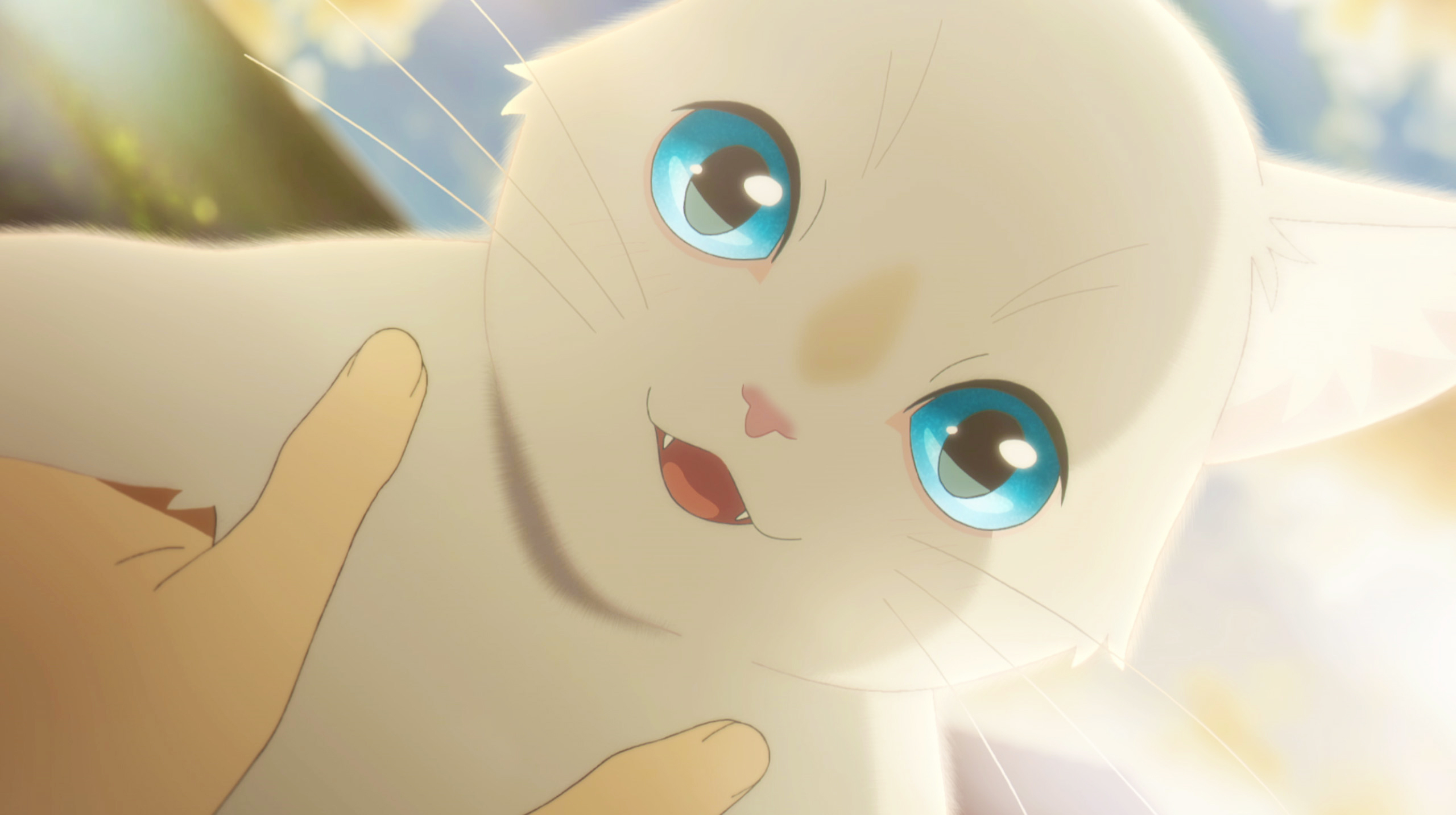 画像】「愛され」のプロ・猫と人の不器用さ。岡田麿里脚本の最新作『泣きたい私は猫をかぶる』」の画像2/8 | SPICE - エンタメ特化型情報