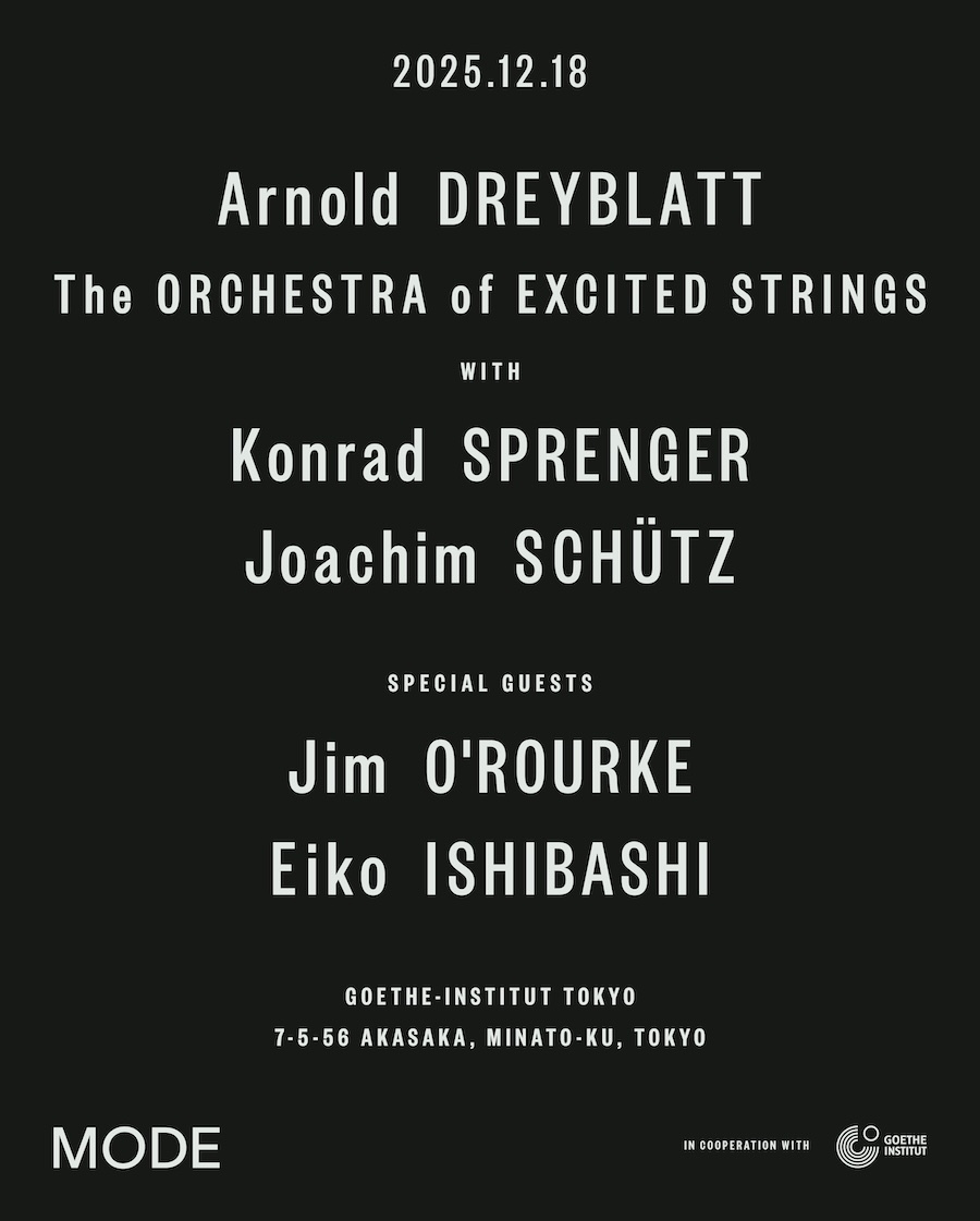 『Arnold Dreyblatt & The Orchestra of Excited Strings』