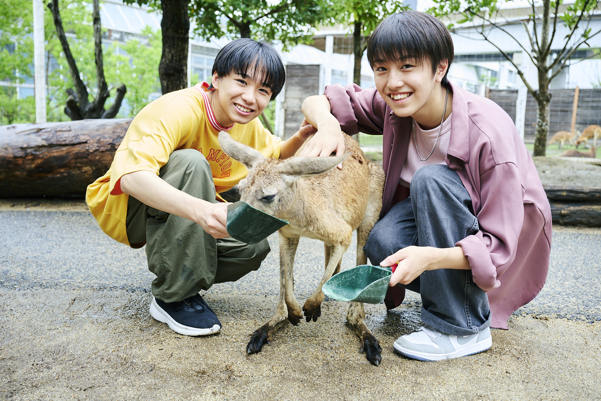 「目がうるうるでかわいい！」とカンガルーと触れ合う