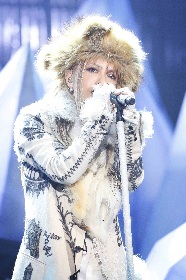 Amazon.co.jp: HYDE 2018 苗場 スノーモンスターフィギュア L